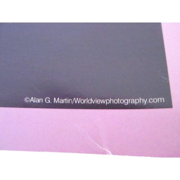 New York Twin Towers Panoramic Art Print Poster - Picture 10 of 12